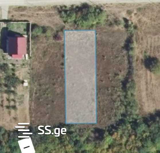 ლაშააააა