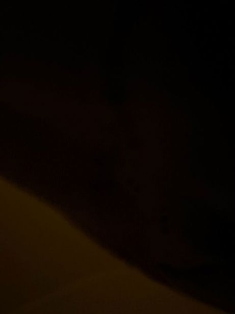 https://test-static.ss.ge/20260422/16_e36f32fd-64dc-43c6-af65-09c0f103d138_Thumb.jpg