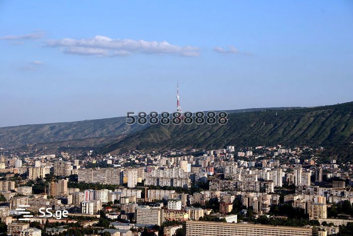 iyideba-mitsis-nakveti-garetyeshi-16585290_thumb_0